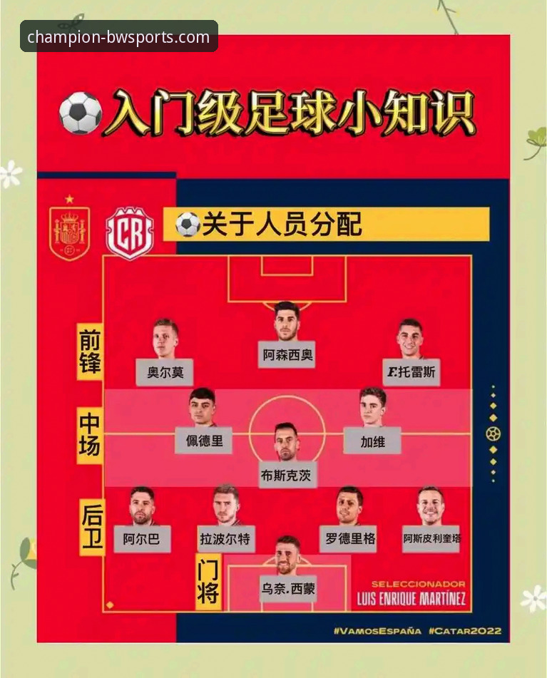 掌握世界杯附加赛关键战，宝威体育平台观赛体验实用指南