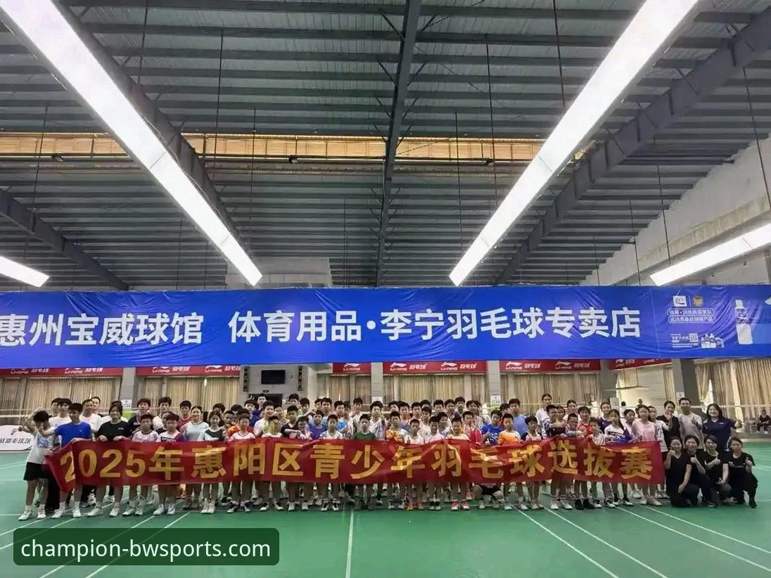 宝威体育正版授权安卓版介绍：从安装到体验的完整分析